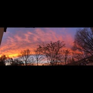 Meet your Posher, Luis